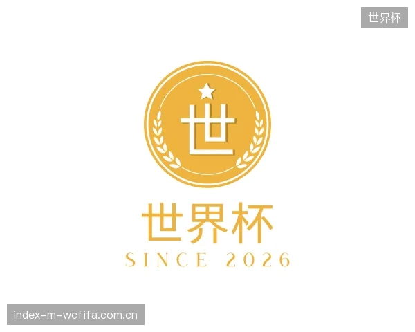 关于世界杯团队